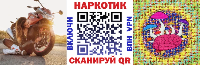 Как найти наркотики Щёкино ГАШ  A-PVP  Псилоцибиновые грибы  МАРИХУАНА  Амфетамин  Cocaine  МЕФ 