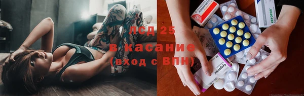 ГАЛЛЮЦИНОГЕННЫЕ ГРИБЫ Абинск
