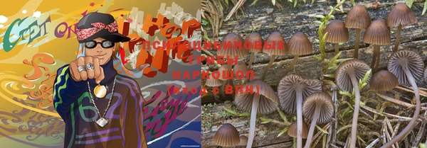 прущий лед Абдулино