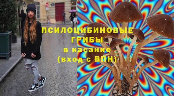 ГАЛЛЮЦИНОГЕННЫЕ ГРИБЫ Абинск