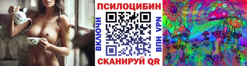 mega рабочий сайт Щёкино Псилоцибиновые грибы GOLDEN TEACHER купить наркоту